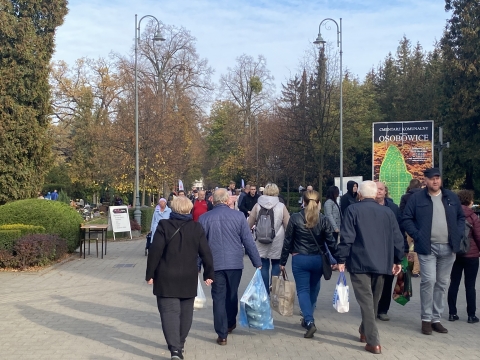Wszystkich Świętych. Tłoczno w okolicach cmentarzy w regionie - 1