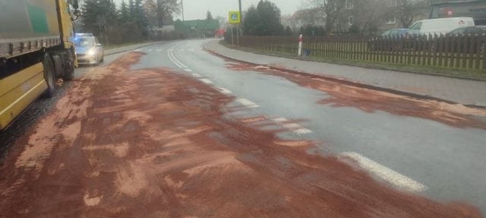 Koniec utrudnień na drodze nr 35 między Małuszowem a Wojnarowicami [AKTUALIZACJA] - Fot: GDDKiA