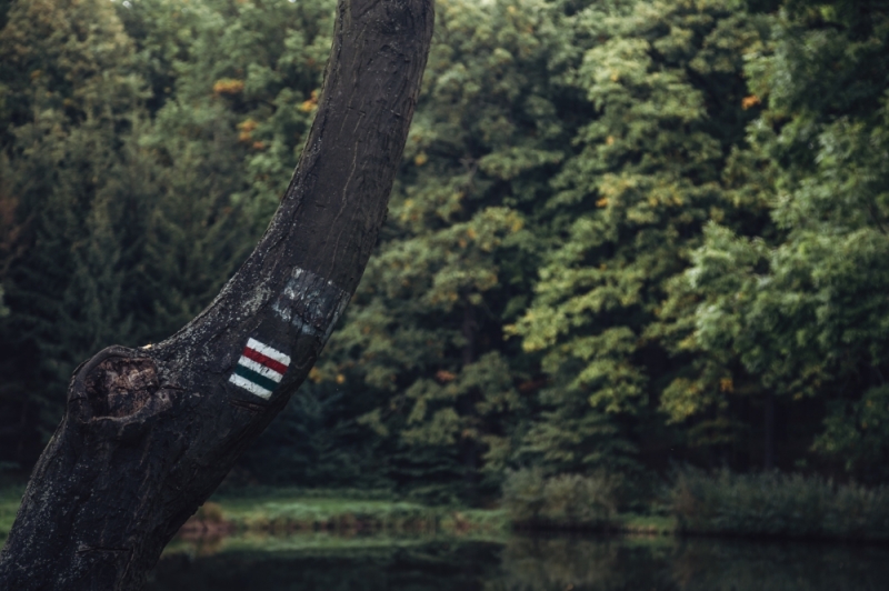 Czy organizacje zrzeszające atrakcje turystyczne są nam niezbędne? [PUBLICYSTYKA] - fot. RW