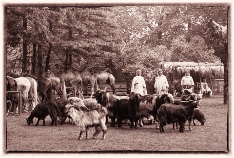Ludzkie ZOO w Breslau. Dolnośląskie Tajemnice odkrywamy z Joanną Lamparską [FILM] - 7