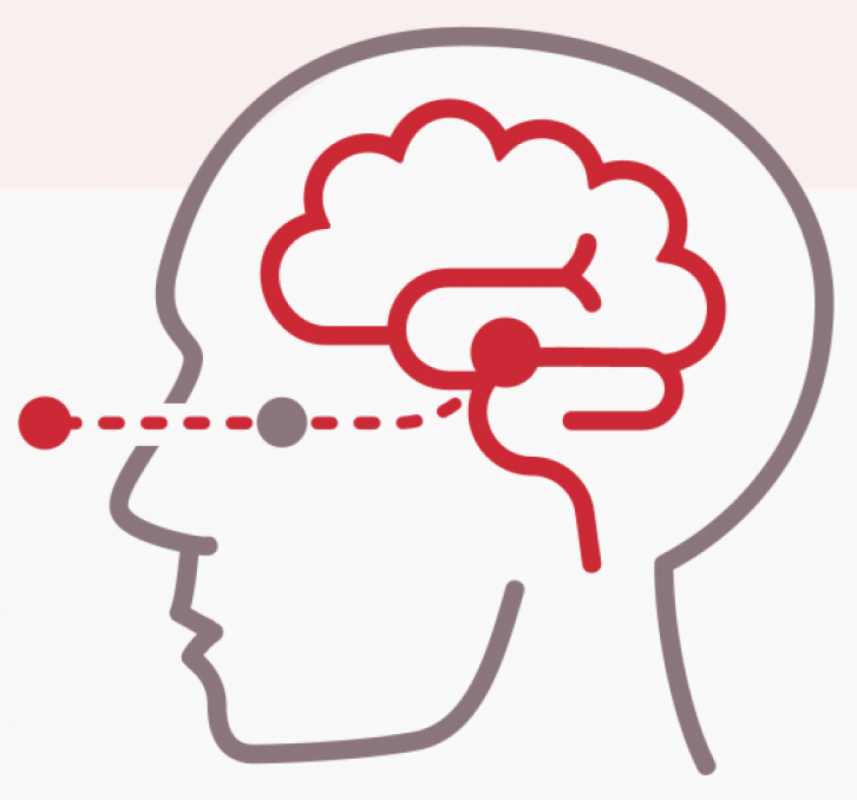 BRAINSPOTTING - NA CZYM POLEGA TA NOWOCZESNA TERAPIA - fot. brainspotting.pl