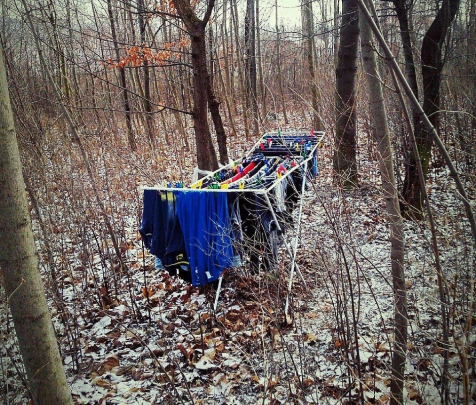 Jedni w lesie spacerują, inni suszą pranie - fot. Sławomir Bańkowski / Regionalna Dyrekcja Lasów Państwowych we Wrocławiu
