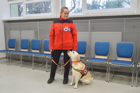 Uniwersytet Przyrodniczy będzie za darmo leczył psy ratownicze - 8