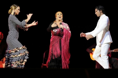 Koncert dla Carlitosa. Wystąpiła legenda flamenco, Hiszpan Fran Chafino