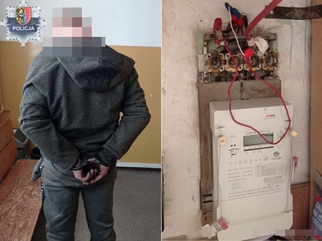 Narkotyki, kradzież prądu i nielegalna amunicja. Długa lista przewinień 35-latka z Grębocic - Fot: dolnośląska policja