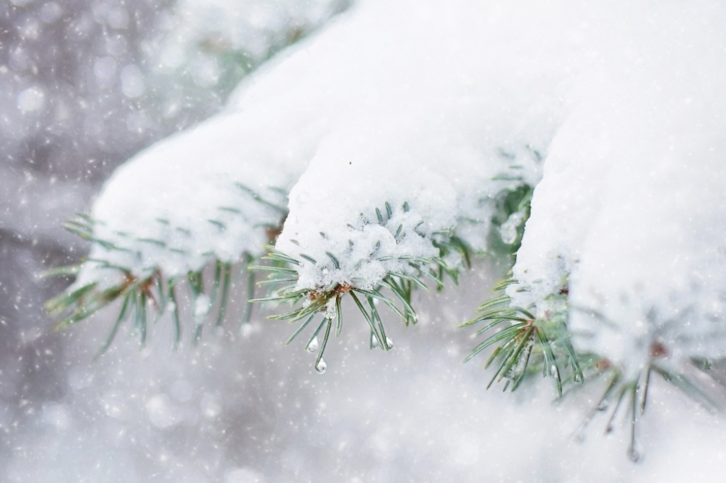 W górach powrót zimy. Ostrzeżenie przed śnieżycami - Fot: zdjęcie ilustracyjne Pixabay