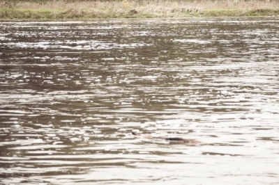 Ostrzeżenie hydrologiczne. Dolnośląskie rzeki będą wzbierać
