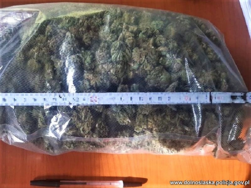Policja przejęła ponad 1,5 kg marihuany - fot. Policja