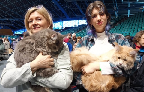 Kocia arystokracja przyjechała do Wrocławia - 10