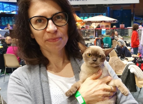 Kocia arystokracja przyjechała do Wrocławia - 11
