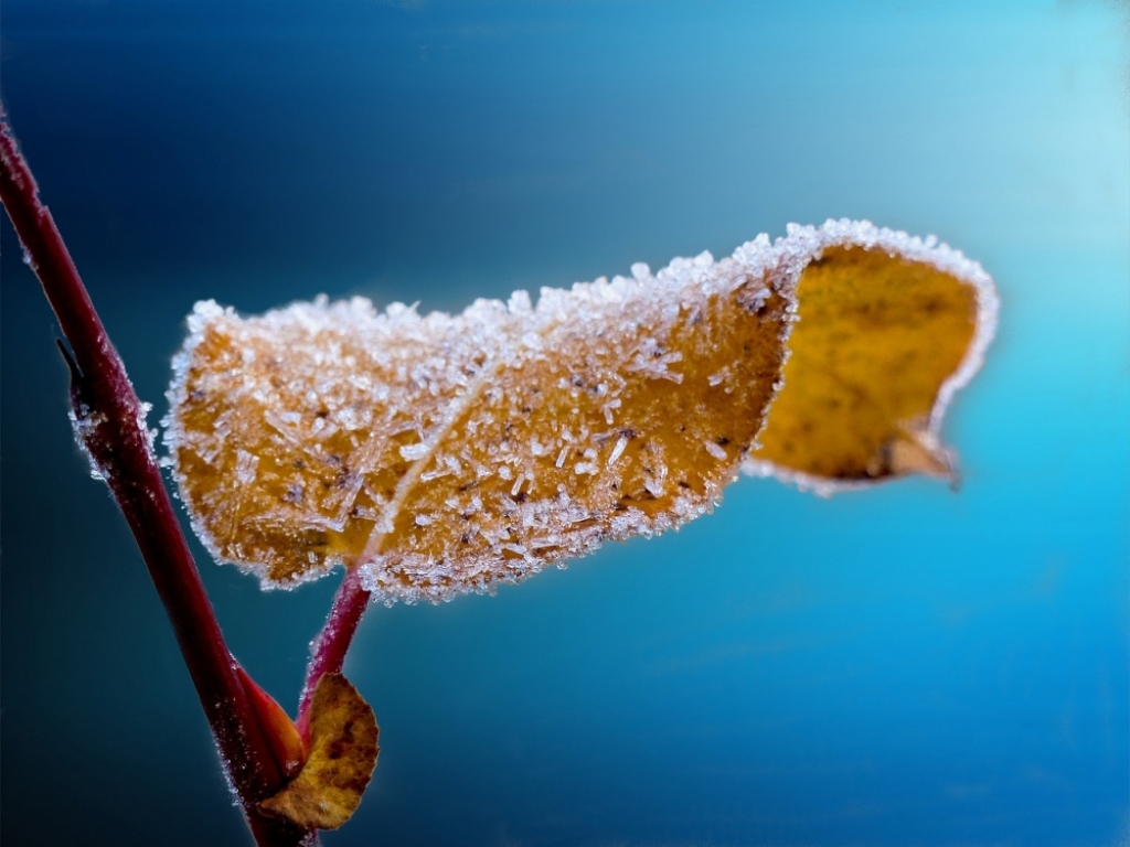 IMGW znów ostrzega: będzie zimno w nocy - fot. Pixabay (zdjęcie ilustracyjne)