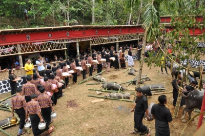 Ceremonie pogrzebowe na Sulawesi 