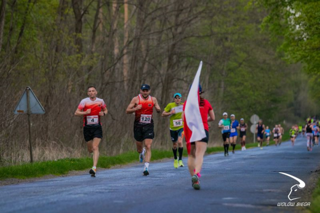 9. Bieg Flagi Narodowej w Wołowie. Zapisy prawie na finiszu - fot. Wołów Biega