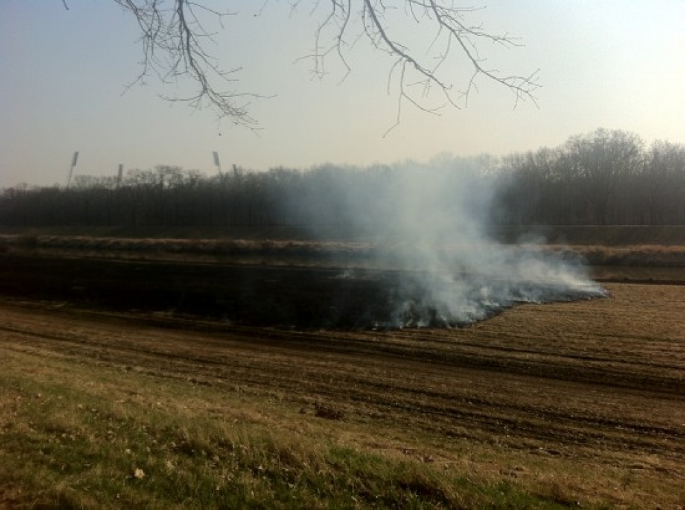 Coraz więcej przypadków wypalania traw wokół Wrocławia - fot. Ariel Volanowski