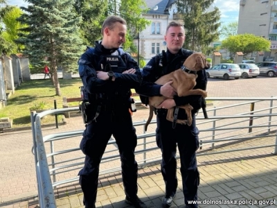 Kłodzcy policjanci uratowali psa zwisającego z metalowego przęsła na lince
