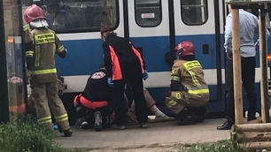 Samica liska pustynnego przyjechała do wrocławskiego ZOO