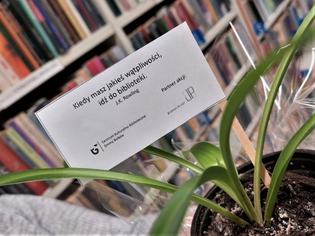 Bolkowskie biblioteki do książek dodają... kwiaty  - Fot: Centrum KuLturalno- Biblioteczne