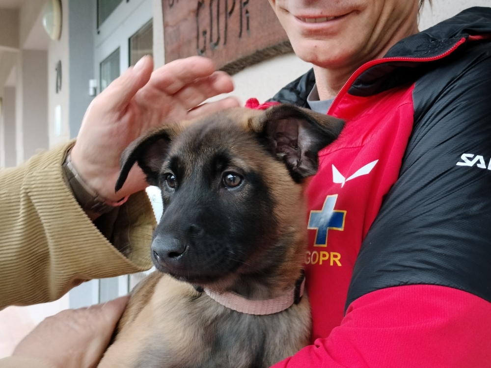W Karkonoskiej Grupie GOPR pojawił się pierwszy, zawodowy pies ratownik - fot. RW