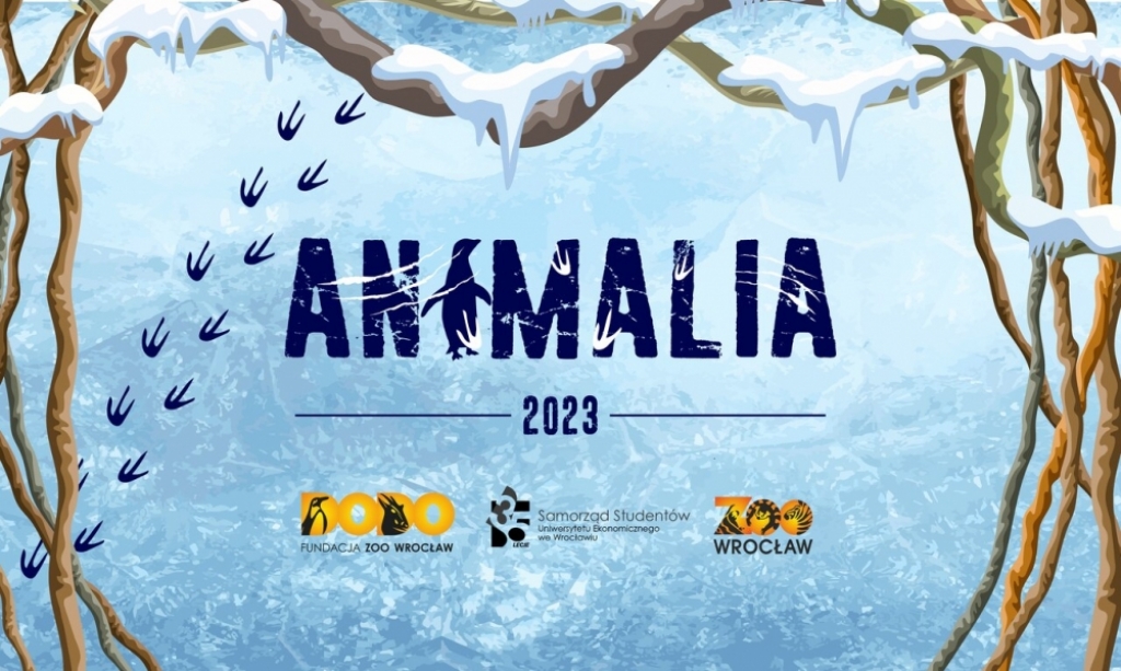 "Animalia" na ratunek pingwinom przylądkowym - fot. mat. prasowe