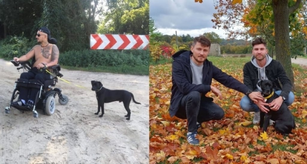 Pies Charlie zostaje u nowych opiekunów. Taką decyzję podjął wrocławski sąd - fot. mat. prasowe