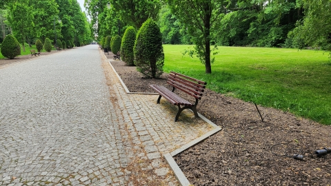Pora na odnowę kudowskiego Parku Zdrojowego - 1