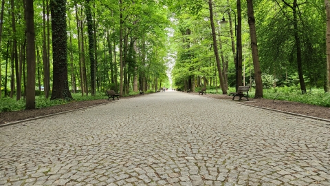 Pora na odnowę kudowskiego Parku Zdrojowego - 2