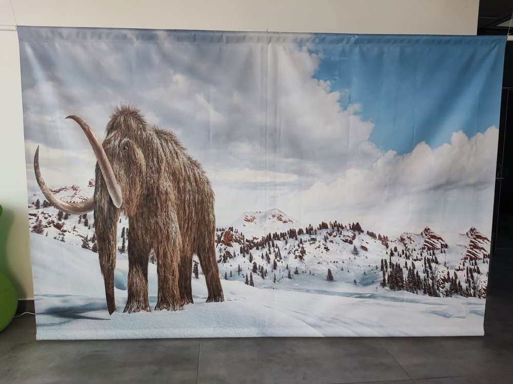 W lubińskim zoo można zobaczyć mamucie artefakty - fot. Karolina Bieniek