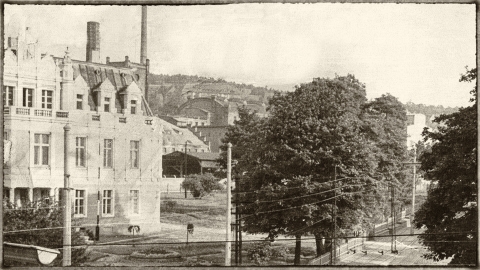 Skarby fabrykanta porcelany. Dolnośląskie Tajemnice odkrywamy z Joanną Lamparską [FILM, odc. 154] - 10