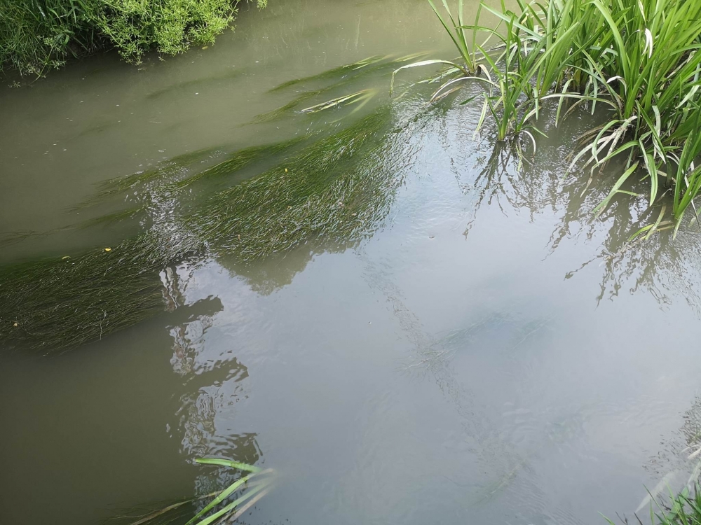 Problem z oczyszczalnią ścieków w Legnickim Polu - fot. Słuchacze