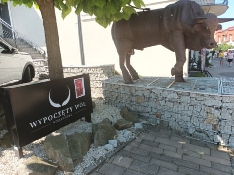 Ostre koło z Kudowy-Zdroju [ZOBACZ, POSŁUCHAJ] - 17