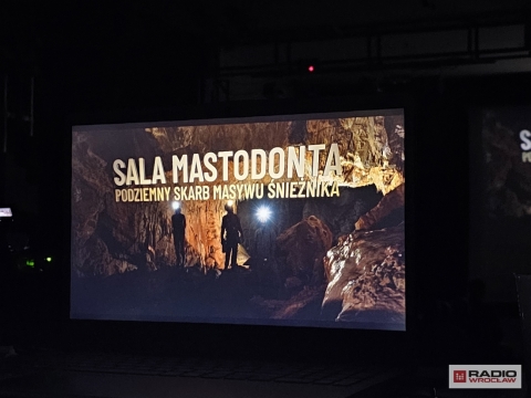 Za cztery lata Sala Mastodonta będzie dostępna dla turystów  - 20