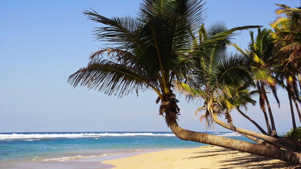Planujesz wyjazd w rejony tropikalne? Sprawdź, jak uchronić się od chorób charakterystycznych dla tego klimatu - Materiał Sponsora / pixabay.com