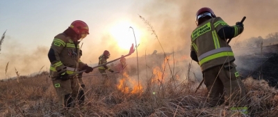 900 pożarów traw w regionie. Niechlubne II miejsce w kraju