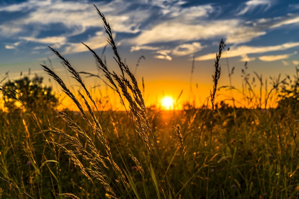 Lato wraca. Po ochłodzeniu nadchodzi fala sierpniowych upałów - fot. pixabay (zdjęcie ilustracyjne)
