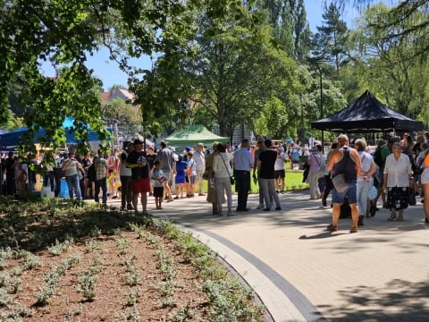 Park Sybiraków w Wałbrzychu już gotowy (ZDJĘCIA) - 7