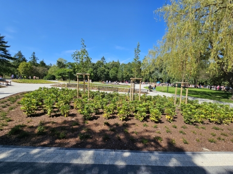 Park Sybiraków w Wałbrzychu już gotowy (ZDJĘCIA) - 8