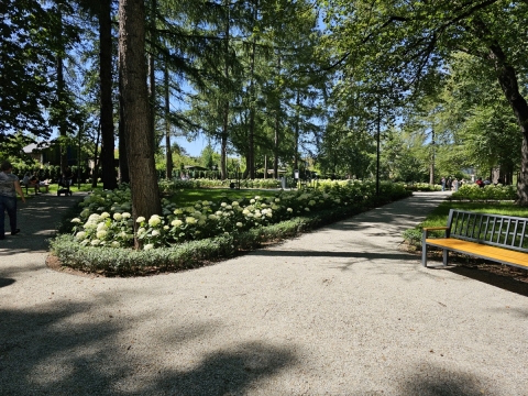 Park Sybiraków w Wałbrzychu już gotowy (ZDJĘCIA) - 22