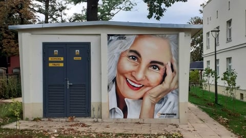 Dzierżoniowski street art. Miasto stawia na murale - 0