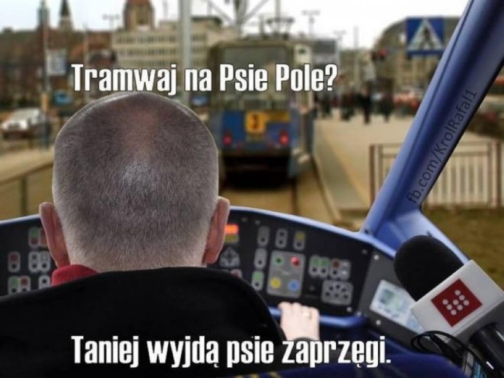 Wrocław miastem memów - Fot: archiwum Radia Wrocław
