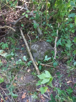 Kolejne fragmenty wrocławskiego Neptuna odnalezione - 2