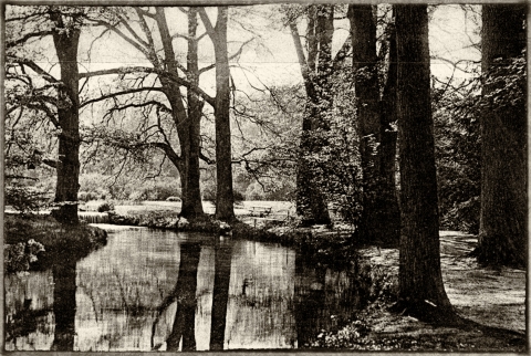 Książę zakochany w niewolnicy. Dolnośląskie Tajemnice odkrywamy z Joanną Lamparską [FILM, odc. 169] - 27