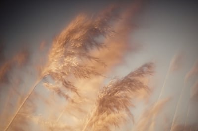 OSTRZEŻENIE METEO. Silny wiatr
