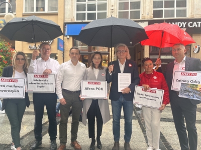 Koalicja Obywatelska o "aferach PiS"