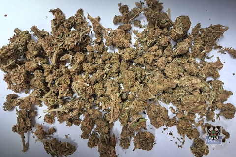 Policja zlikwidowała plantację marihuany; przejęto 10 kg narkotyków - 5