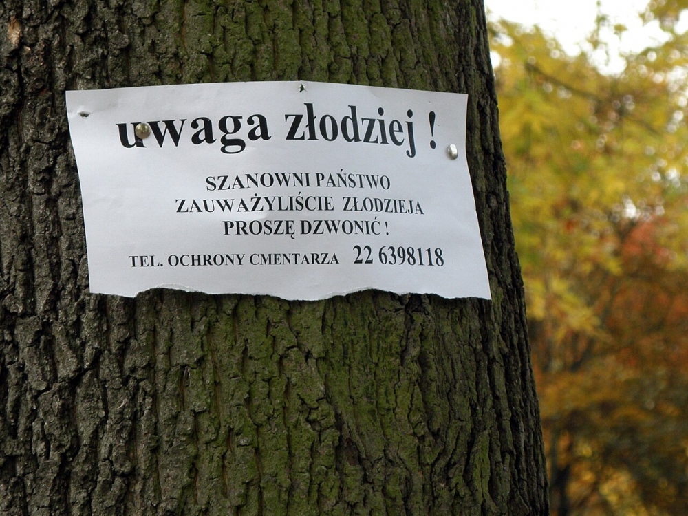 Giną ozdoby, kwiaty i znicze. Na wrocławskich cmentarzach pojawili się złodzieje - zdjęcie ilustracyjne: fot. Alina Zienowicz / CC BY 3.0