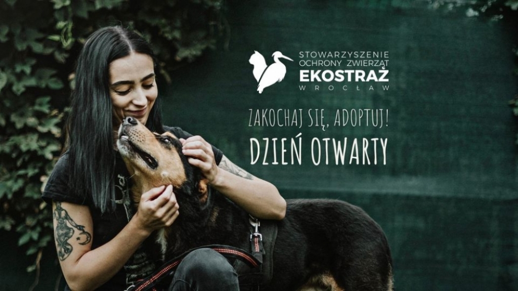 Dzień otwarty w EKOSTRAŻY. Pokochaj – adoptuj - Fot: Ekostraż