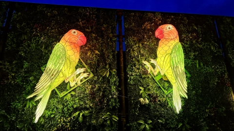 Wystawa Ogród Świateł  "Dzika Afryka" we wrocławskim zoo - 9