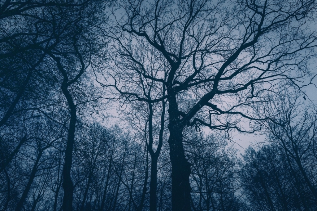 Wieczór zDolnego Śląska. Jak nie dać się jesiennej depresji - Fot: zdjęcie ilustracyjne, Pixabay