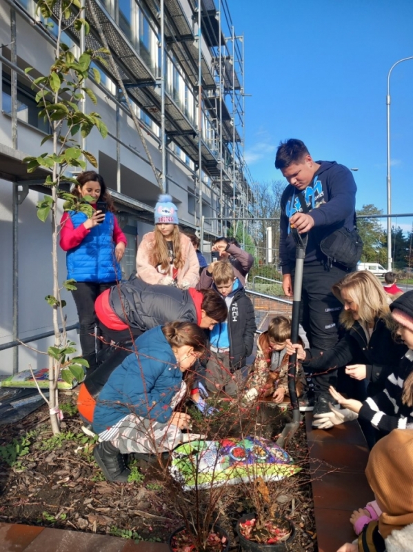 Sąsiedzkie sadzenie drzew na wrocławskim Nowym Dworze – fot. B. Makowska