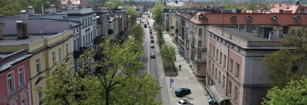 W centrum Jeleniej Góry zamiast trawnika powstanie łąka kwietna - fot. Miasto Jelenia Góra